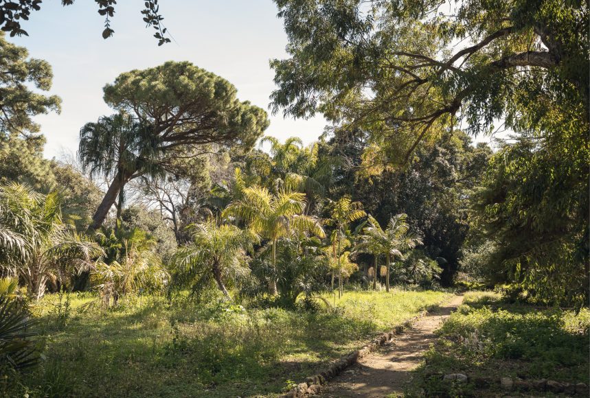 Orto Botanico, Palermo Atlas © Photo Delfino Sisto Legnani, courtesy OMA for Manifesta 12